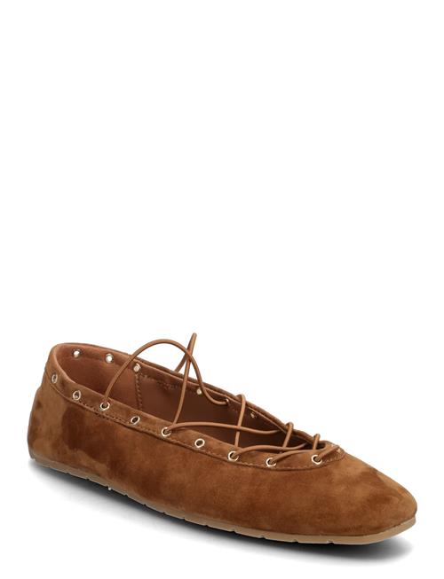 Steve Madden | Pointe | 38