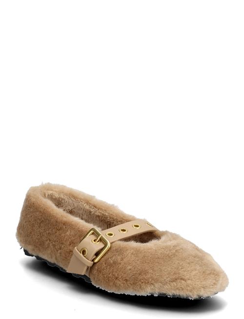 Steve Madden | Toasty | 40