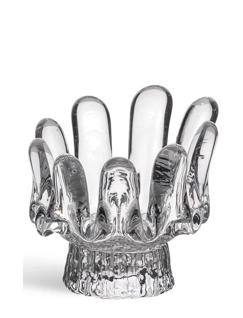 Kosta Boda | Solros 92Mm | H9.2CM