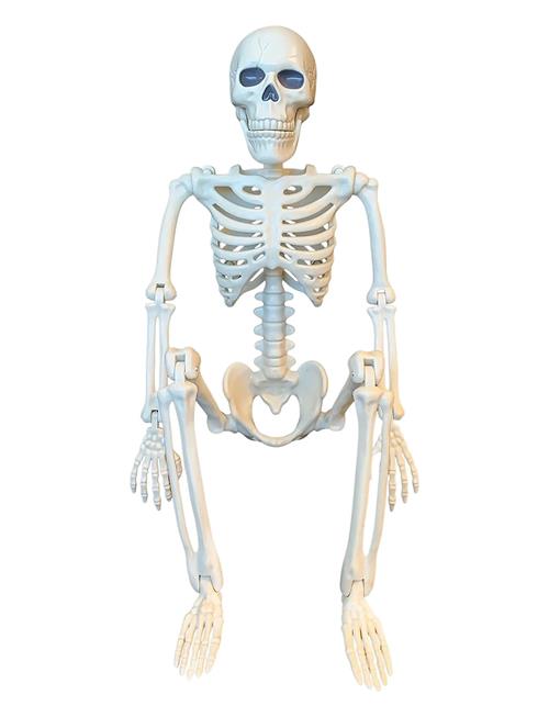 Magni Toys | Halloween Skeleton Decor | ONE SIZE