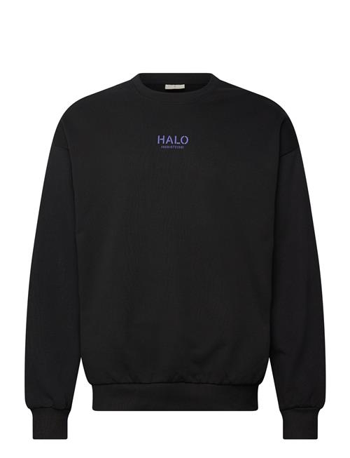 HALO | Halo Graphic Boxy Crew | S