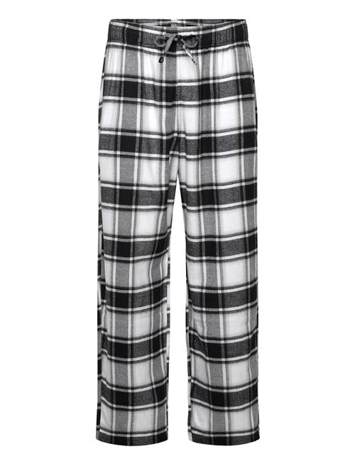 Hollister | Buff Check Evolution Singles | XL