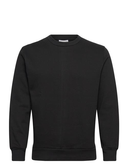 Shine Original | Crew Neck Sweat | XXXL