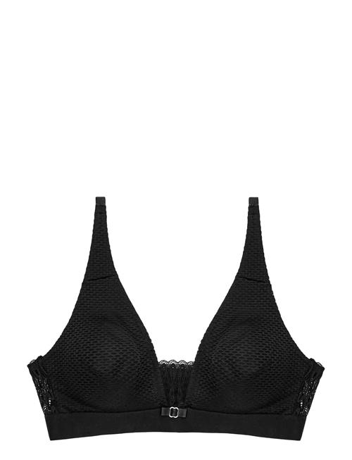 Triumph | Aura Spotlight N | B x 75