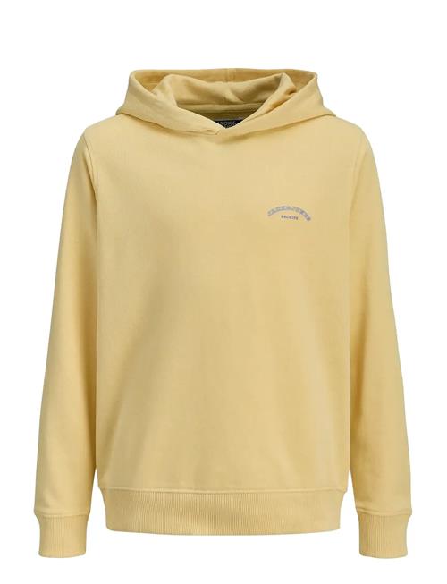 Jack & Jones | Jjcollege Logo Sweat Hood Jnr | 128