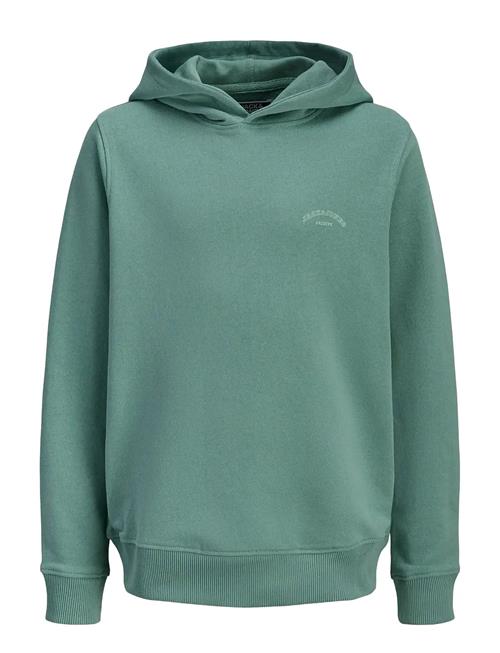 Jack & Jones | Jjcollege Logo Sweat Hood Jnr | 140