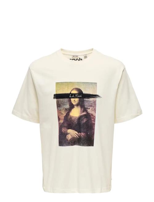 ONLY & SONS | Onsmonalisa Rlx Ss Lic Tee Vd | XL