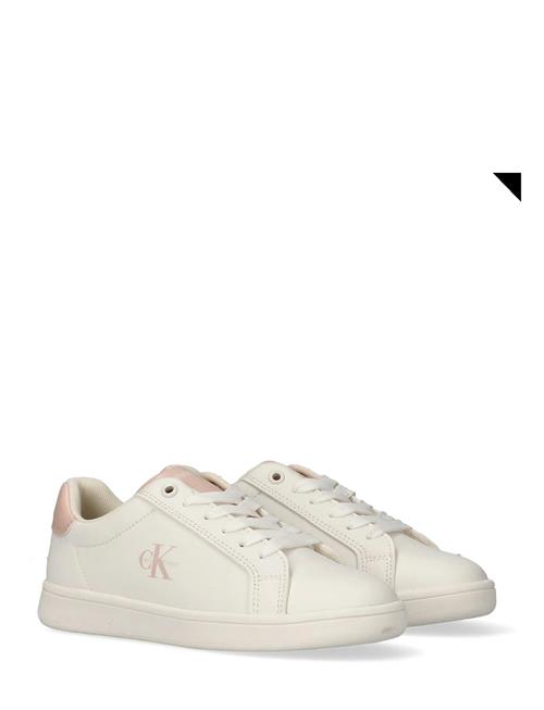 Calvin Klein | Calvin Klein Low Cut Lace-Up Sneaker | 31