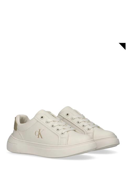 Calvin Klein | Calvin Klein Low Cut Lace-Up Sneaker | 34