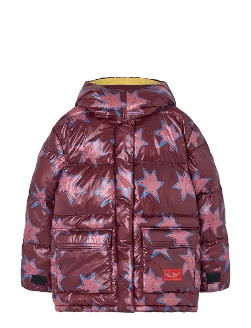 THE ANIMALS OBSERVATORY | Lemur Kid Puffer Jacket Maroon | 10 Y