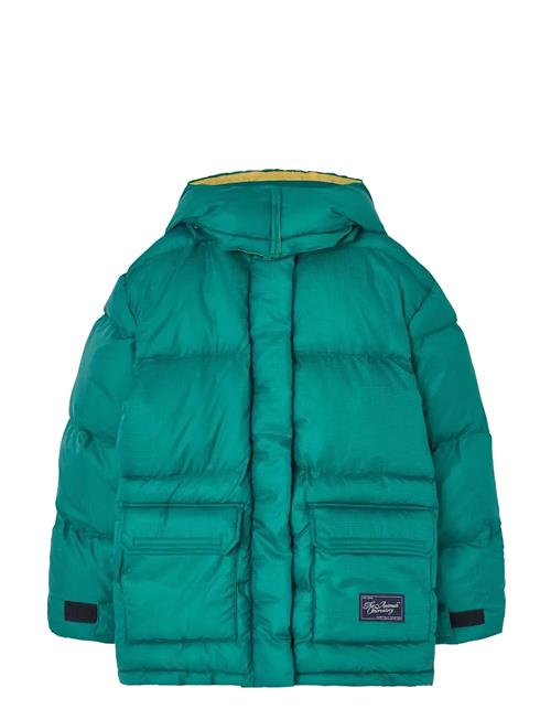 THE ANIMALS OBSERVATORY | Lemur Kid Puffer Jacket Maroon | 6 Y