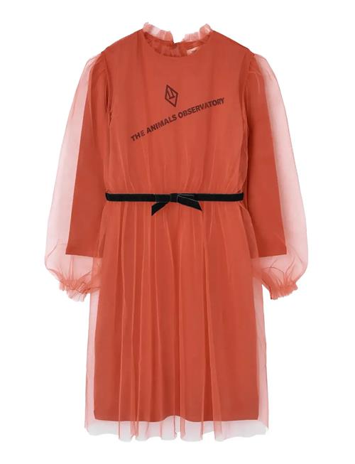 THE ANIMALS OBSERVATORY | Tulle Tortoise Kid Midi Dress Red | 6 Y
