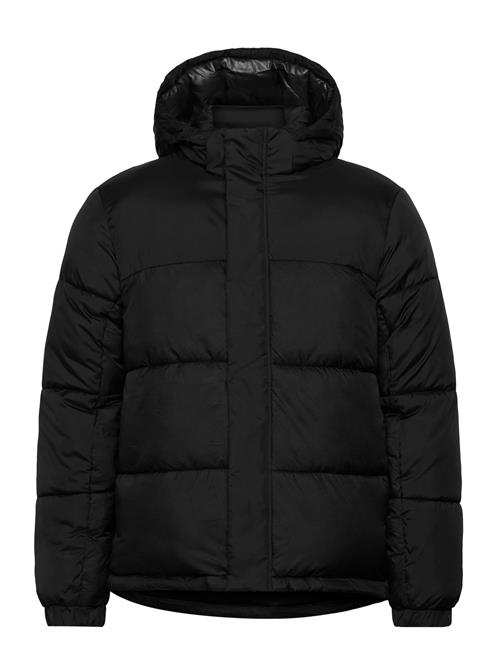 Jack & Jones | Jcounion Puffer Jacket Sn | M