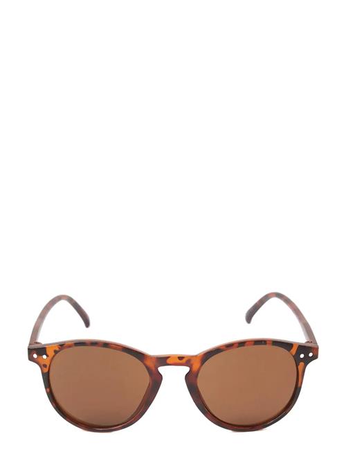 Lindex | Sunglasses Round Turtoise | ONE SIZE