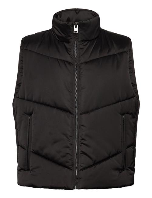 HUGO | Berolino2531 | XXL