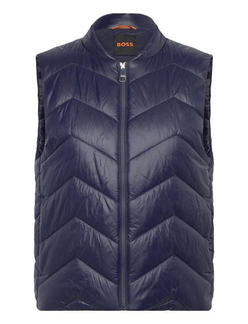 BOSS | C_Palattini | 40