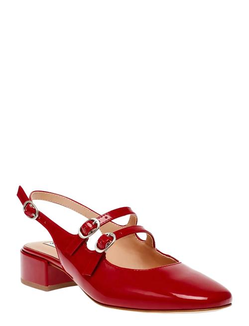 Steve Madden | City View | 36