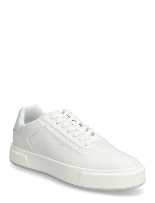 Calvin Klein | Basket Cups Oxf Lup Hf Lth | 43