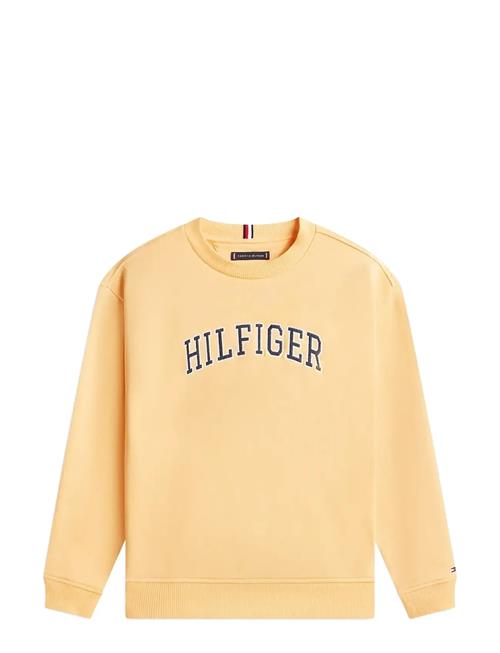 Tommy Hilfiger | Hilfiger Varsity Sweatshirt | 122