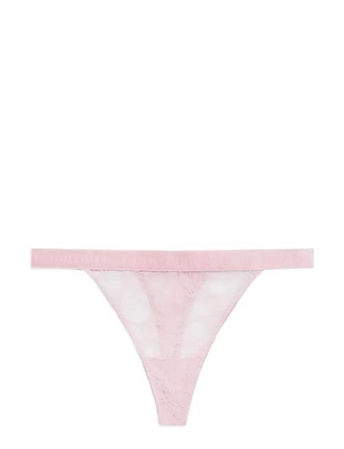 Tommy Hilfiger | Tanga Thong (Ext. Sizes) | M