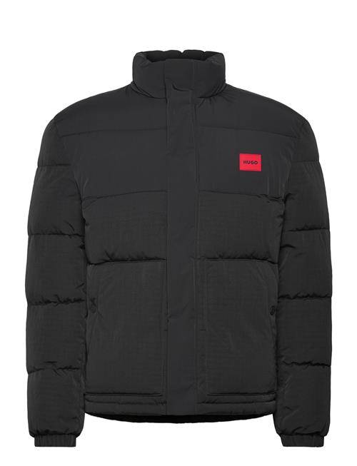 HUGO | Balto2541 | M