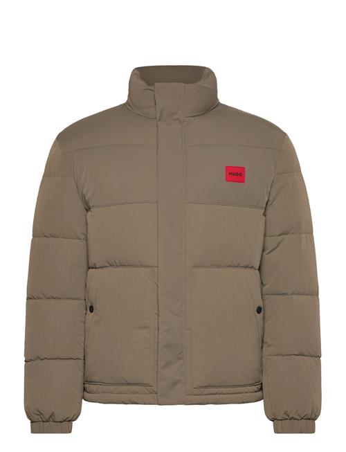 HUGO | Balto2541 | XXL