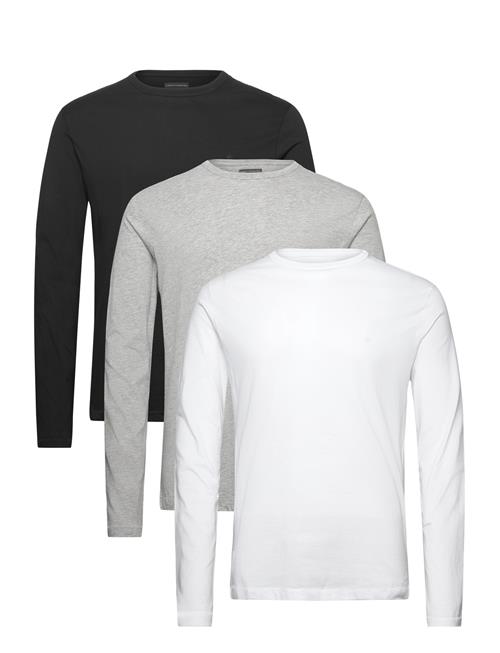 French Connection | 3 Pack Crew Ls | XXL