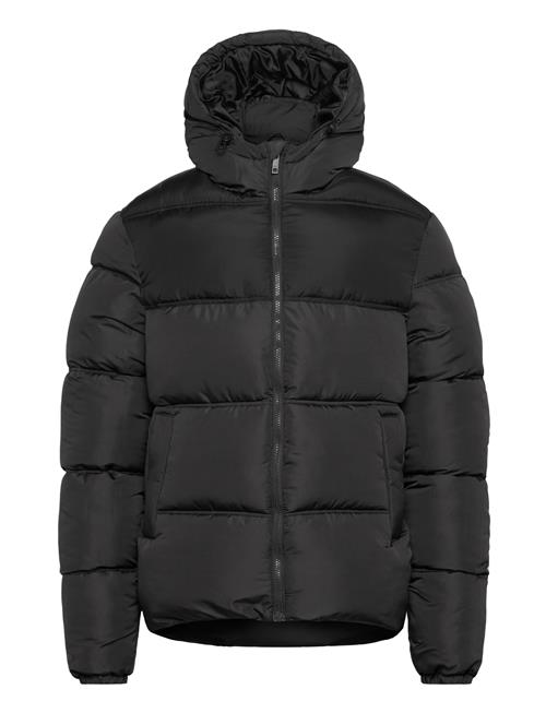 French Connection | Row Mid Panel | M