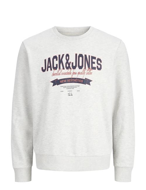 Jack & Jones | Jjelogo Sweat Crew Neck 2 Col Ss26 | L