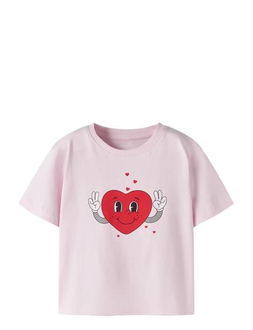 name it | Nmfbswet Ss Nreg Top Box | 86