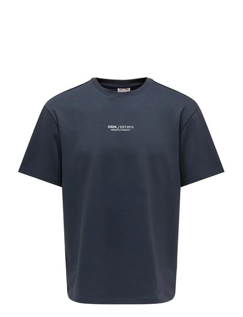 ONLY & SONS | Onscaspian Airflex Process Boxy Ss Tee | L