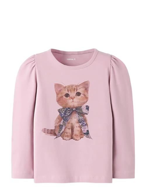 name it | Nmfboloras Ls Top | 104