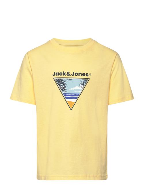 Jack & Jones | Jjperry Tee Ss Crew Neck Jnr | 152