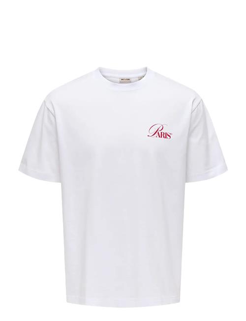 ONLY & SONS | Onsfred Elegants Rlx Ss Tee | L