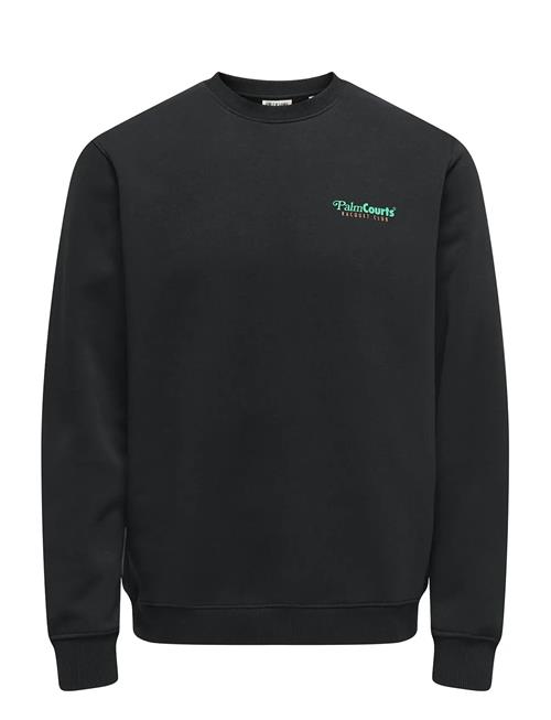 ONLY & SONS | Onsten Reg Ls Crew | L