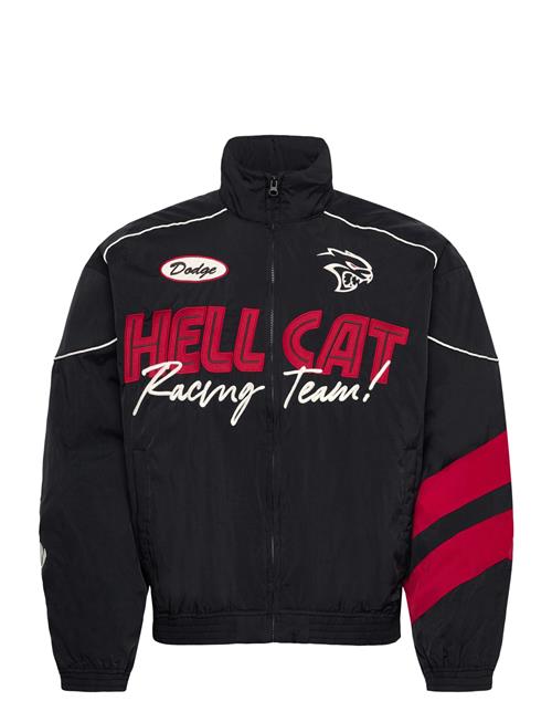 Hollister | Nylon Racing - Hellcat | S