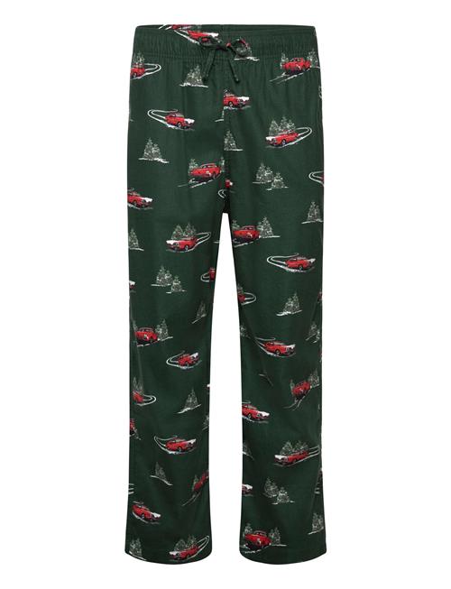 Hollister | Truck Conversational | S