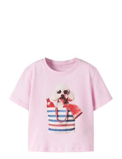 name it | Nmfvotea Ss Nreg Top | 110