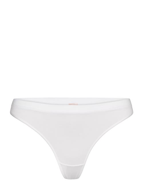 CCDK Copenhagen | Modal String Brief | XS