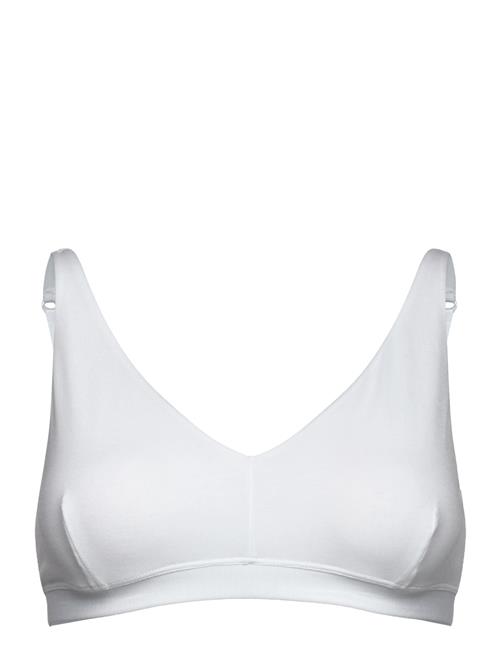 CCDK Copenhagen | Modal Bra Top | L