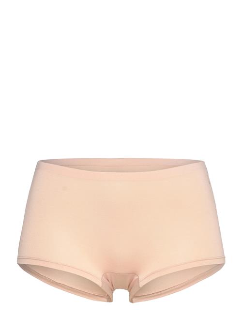 URBAN QUEST | Women Bamboo Shorts Brief | M
