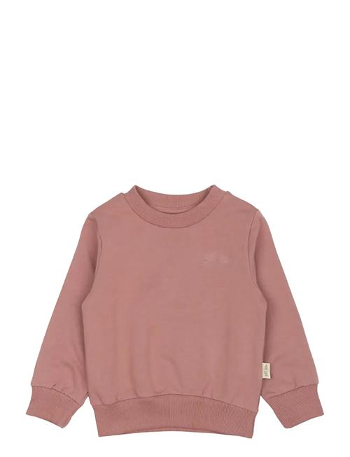 Petit Piao | Ppdun Sweat Shirt | 74
