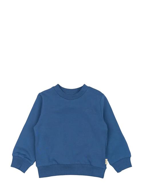 Petit Piao | Ppdun Sweat Shirt | 104
