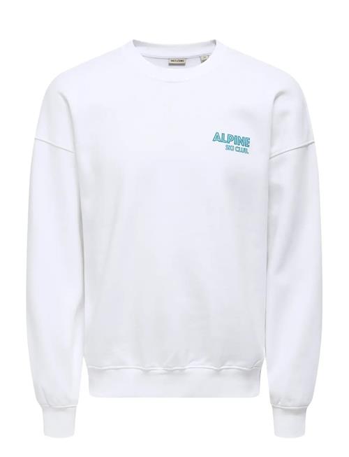 ONLY & SONS | Onsceres Ski Ls Reg Crew Swe Cs | XL