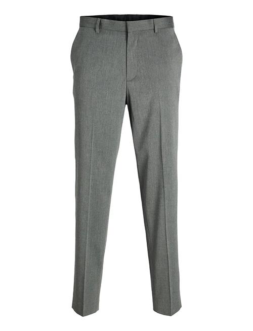 Jack & Jones | Jprbushwick Ashton Trouser Jnr | 146