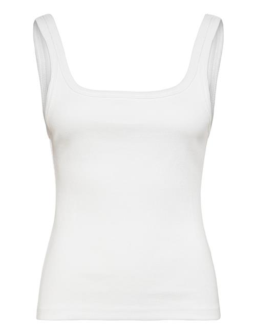 2NDDAY | 2Nd Viper Tt - Daily Cotton Rib | XS