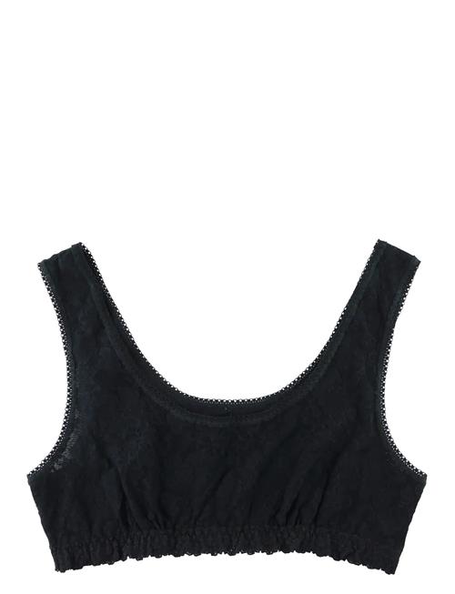 Hanky Panky | Hanky Panky Daily Lace, Lined Scoop Neck Bralette | L