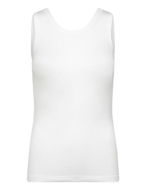 Calvin Klein | A- Modal Rib Tank (Essential) | M