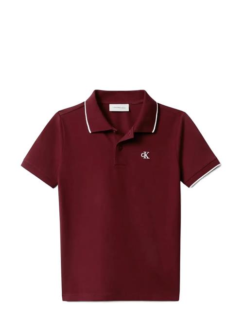 Calvin Klein | Tipping Regular Ss Polo | 152