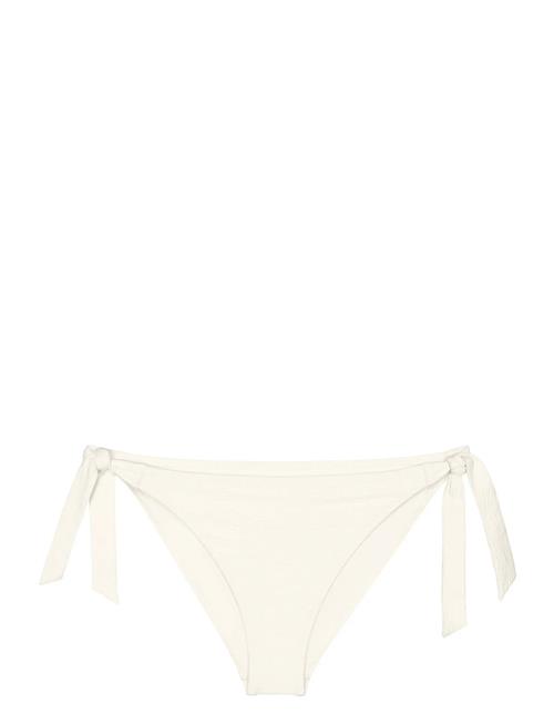 Triumph | Summer Dune Tai | 36